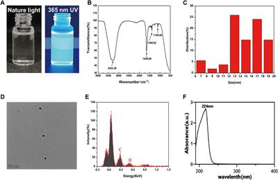 Graphene quantum dots promote migration and differentiation of periodontal ligament stem cells